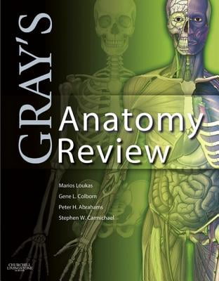 Gray’s Anatomy Review